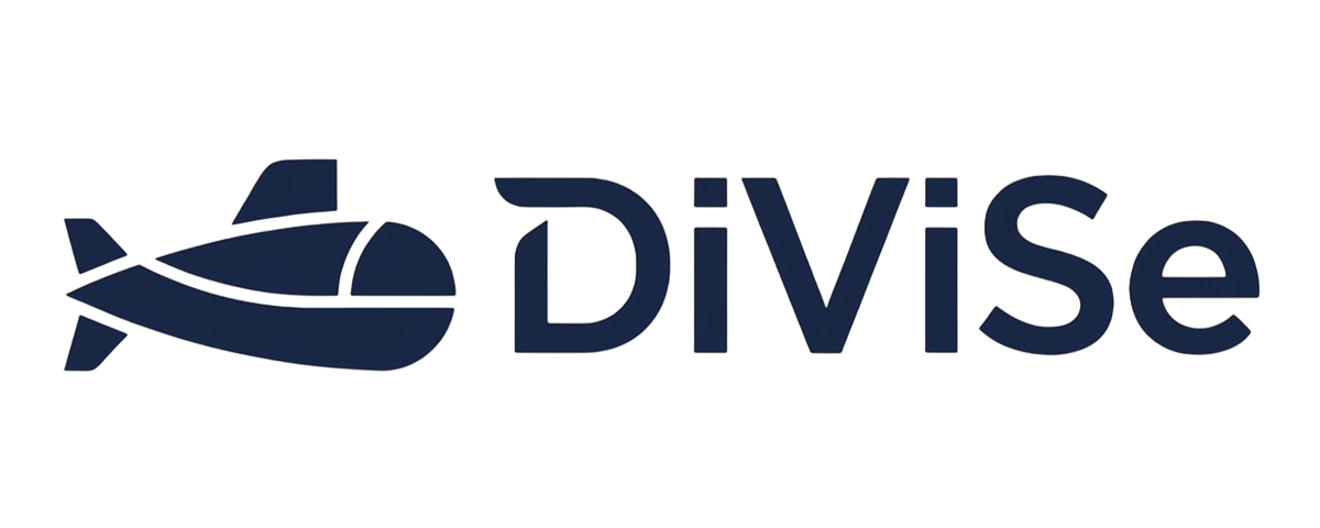 DiViSe client logo